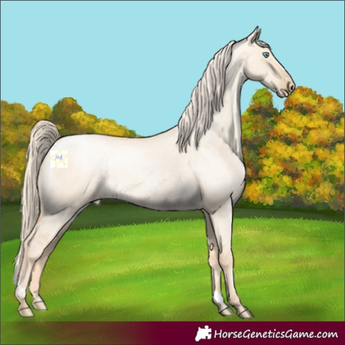 Horse Color:Palomino Roan Pearl Dun 