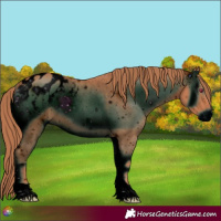 Horse Color:ERROR: UNKNOWN ANOMALY