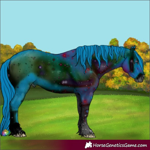 Horse Color:ERROR: UNKNOWN ANOMALY