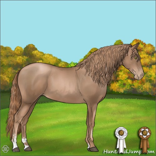 Horse Color:Liver Chestnut Pearl Sabino