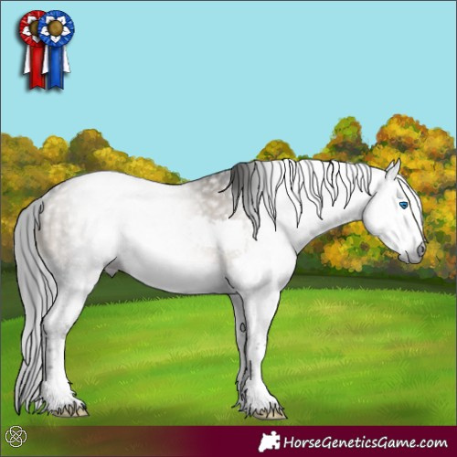 Horse Color:Gray Brown Dun Splash Rabicano Brindle