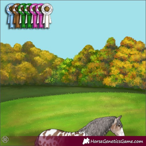 Horse Color:White Spotted Liver Red Dun Appaloosa 