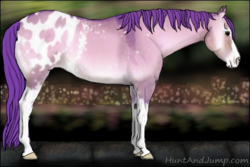 Horse Color:Watercolor White Spotted Brown Roan Onyx Appaloosa 
