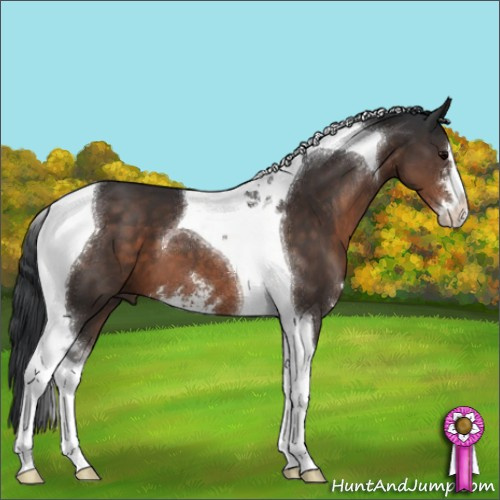 Horse Color:Brown Sabino Tobiano 
