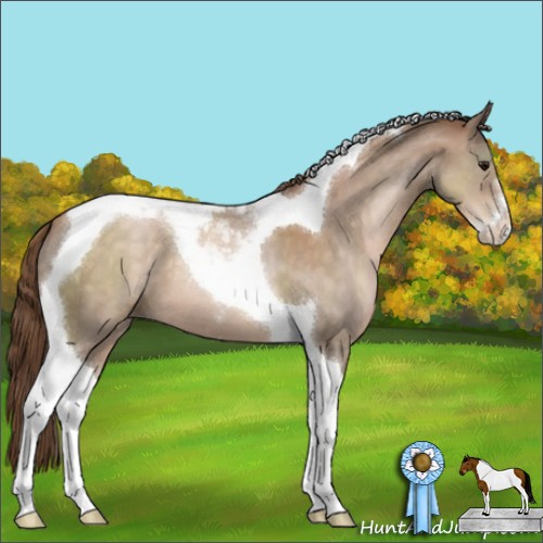 Horse Color:Brown Pearl Sabino Tobiano 