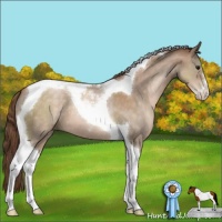 Horse Color:Brown Pearl Sabino Tobiano 