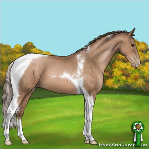 Horse Color:Brown Pearl Sabino Tobiano