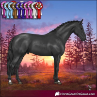 Horse Color:Black 