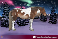 Horse Color:White Spotted Liver Chestnut Tobiano 