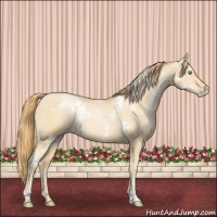 Horse Color:White Spotted Smoky Black Pearl 