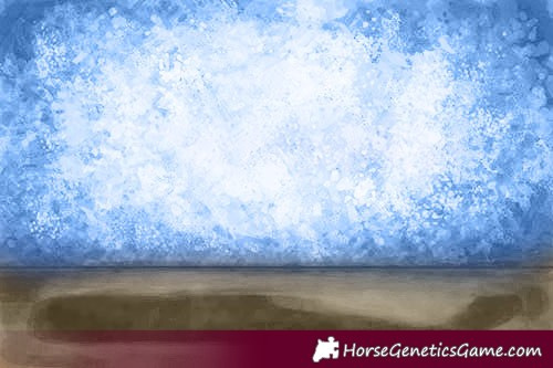 Horse Color:White Spotted Silver Buckskin 