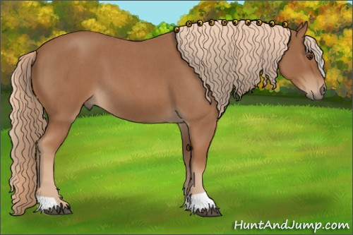 Horse Color:Red Roan 