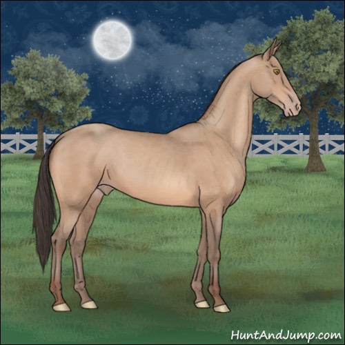 Horse Color:Sable Champagne