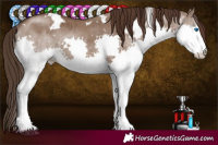 Horse Color:White Spotted Liver Red Dun Splash Rabicano Brindle