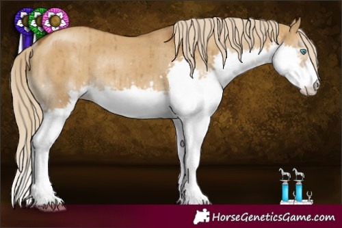 Horse Color:Chocolate Palomino Dun Splash Rabicano Brindle