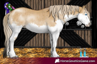 Horse Color:Chocolate Palomino Dun Splash Rabicano Brindle