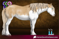 Horse Color:Chocolate Palomino Dun Splash Rabicano Brindle 