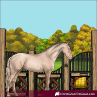 Horse Color:Gold Champagne Pearl Rabicano  and Gold Champagne Pearl Rabicano 