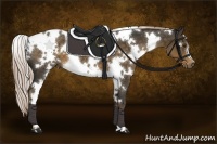 Horse Color:White Spotted Chocolate Palomino