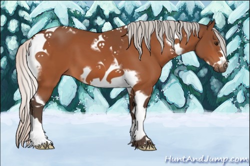 Horse Color:Silver Bay Tobiano Frame 