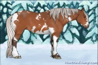 Horse Color:Silver Bay Tobiano Frame 