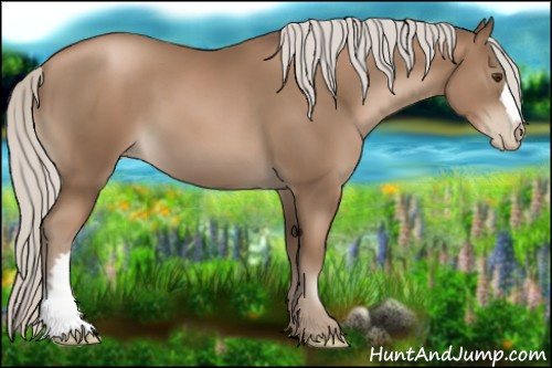 Horse Color:Silver Black Pearl