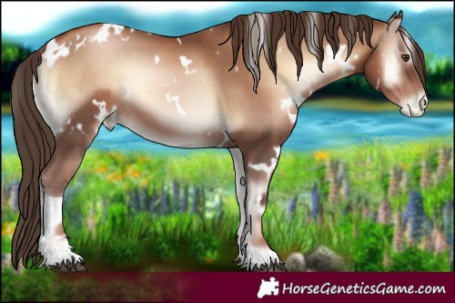 Horse Color:White Spotted Liver Red Onyx Pearl 