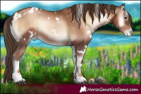 Horse Color:White Spotted Liver Red Onyx Pearl 