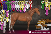 Horse Color:Silver Bay 