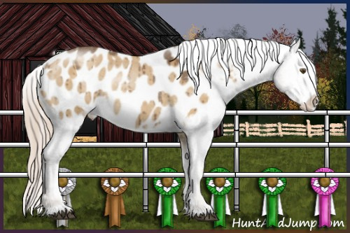 Horse Color:Chocolate Palomino Roan Dun Mushroom Appaloosa Rabicano Brindle 