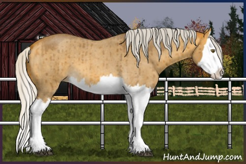 Horse Color:Silver Buckskin Roan Dun Mushroom Splash Brindle 
