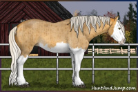 Horse Color:Silver Buckskin Roan Dun Mushroom Splash Brindle 