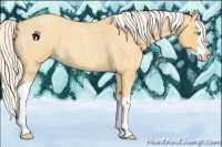 Horse Color:Silver Amber Cream Champagne Roan Splash 