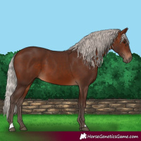 Horse Color:Silver Brown 