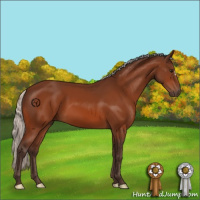 Horse Color:Silver Bay 