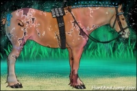 Horse Color:White Spotted Chestnut Varnish