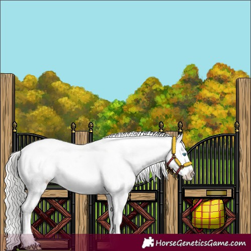 Horse Color:Cremello Sabino Varnish  and Cremello Sabino Varnish 