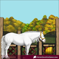 Horse Color:Cremello Sabino Varnish  and Cremello Sabino Varnish 