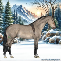 Horse Color:Brown Roan Dun 