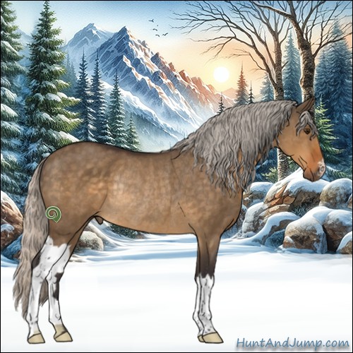 Horse Color:Silver Buckskin Dun Rabicano