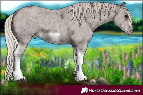 Horse Color:Silver Black Ice Sabino Tobiano Frame Rabicano 