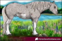 Horse Color:Silver Black Ice Sabino Tobiano Frame Rabicano 
