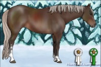 Horse Color:Silver Brown Sabino 