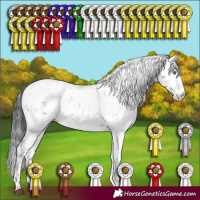 Horse Color:Black Sabino 