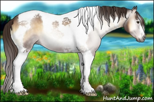 Horse Color:Gray Red Onyx Tobiano 