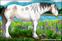 Horse Color:Gray Red Onyx Tobiano 