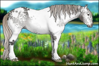 Horse Color:Gray White Spotted Silver Black Tobiano 