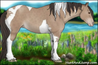 Horse Color:Classic Champagne Tobiano
