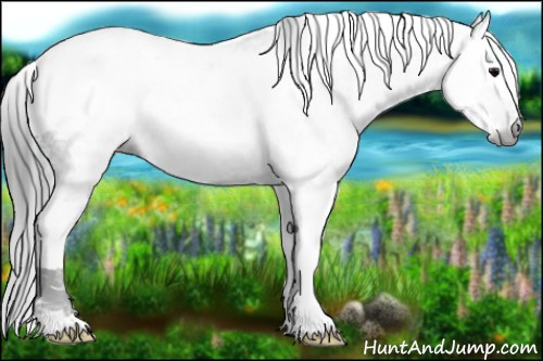 Horse Color:Gray Blue Roan Splash Tobiano 