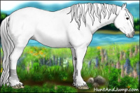 Horse Color:Gray Blue Roan Splash Tobiano 